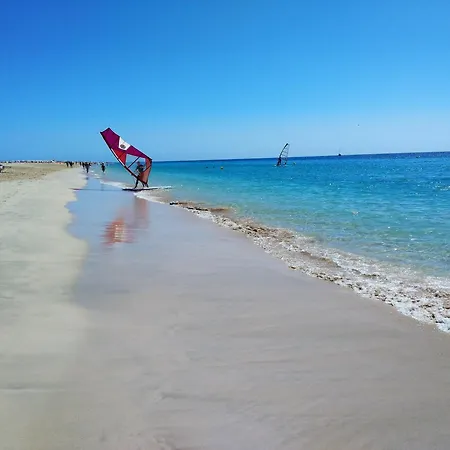 Sunny Escape *